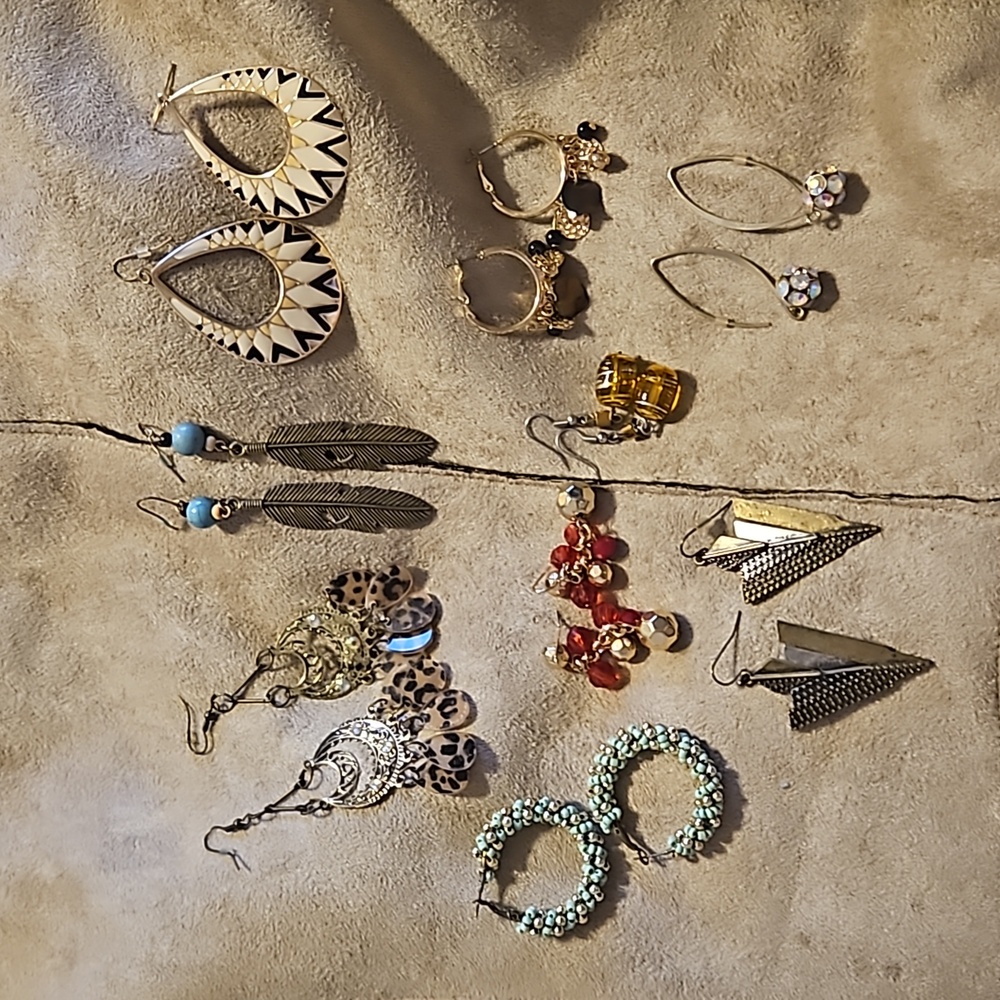 Earrings